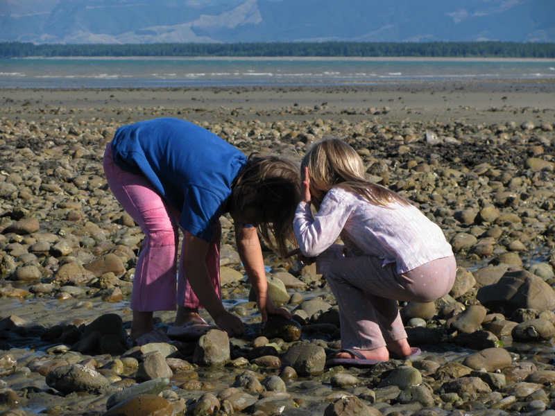 jan-09-650 Finding crabs on Ruby bay beach