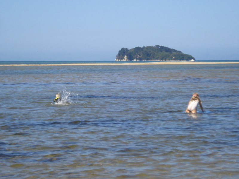 The children swimming