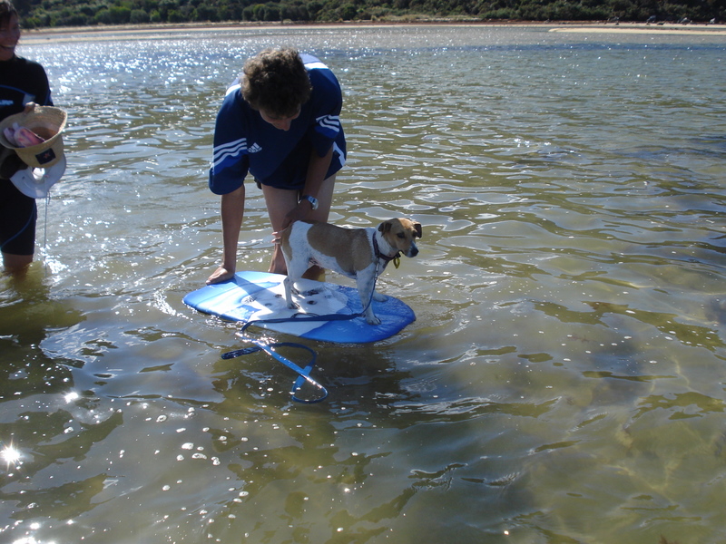 Honey on the surf board!
