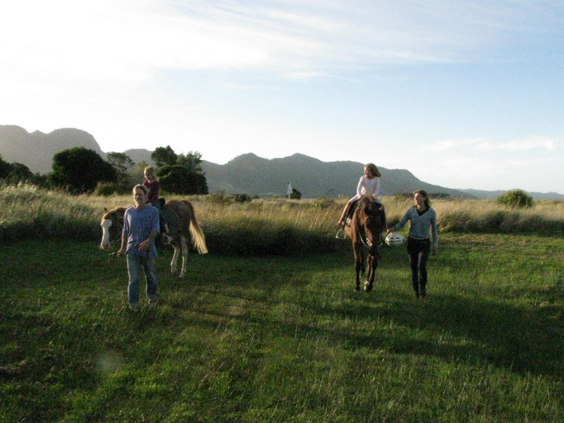 Horse riding on the Collingwood Domain.